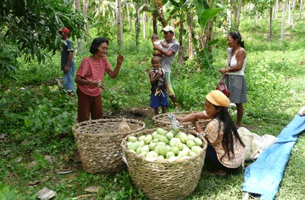 2010y03m08d_233253870.jpg